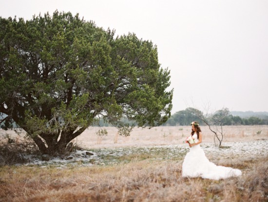 love-is-sweet-wedding--wedding-budget