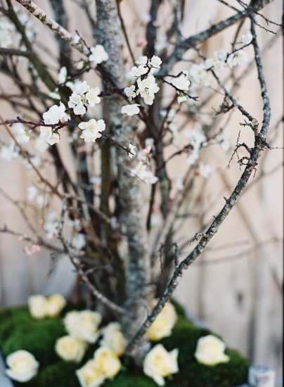 oh-so-sweet-natural-wedding