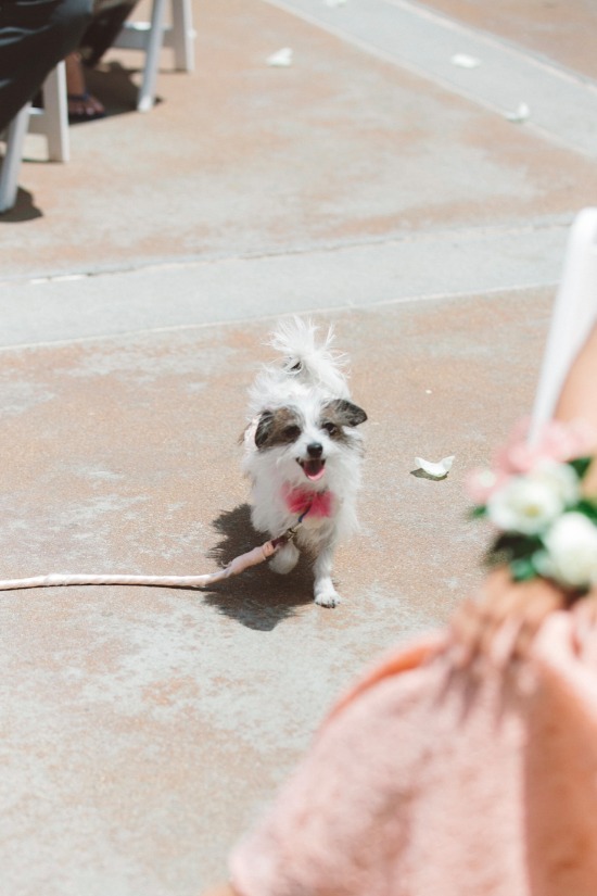 peach-and-pink-wedding