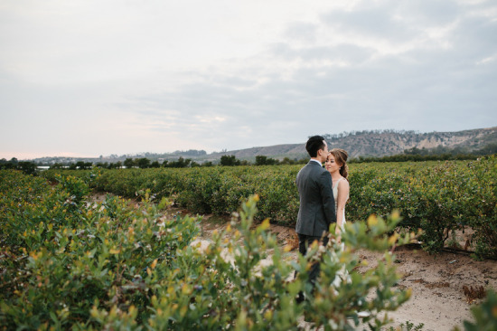 sweet-garden-romance-wedding-budget