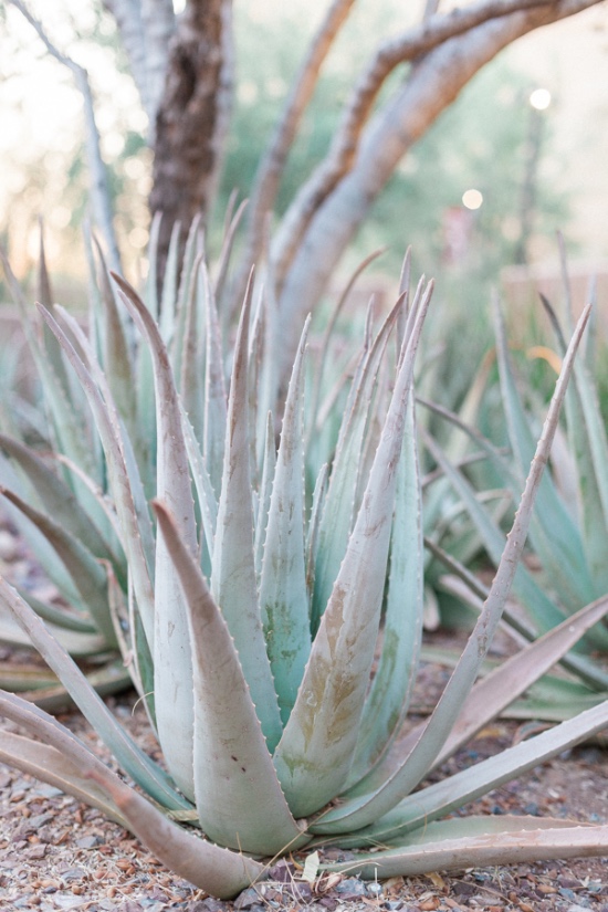 desert-chic-wedding-inspiration