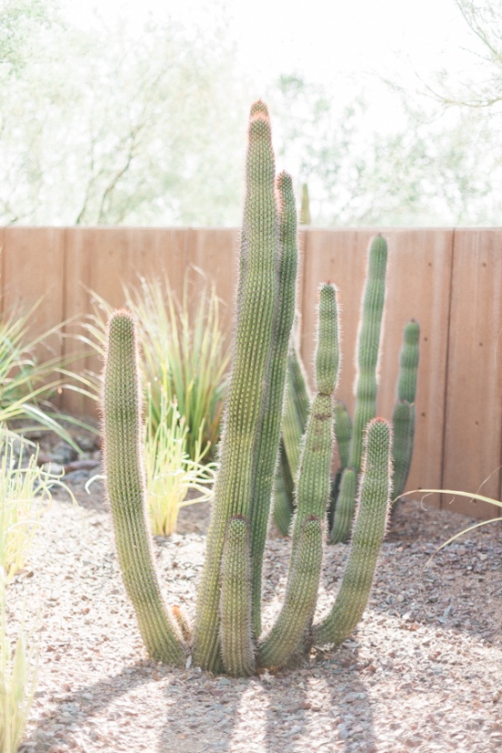 desert-chic-wedding-inspiration