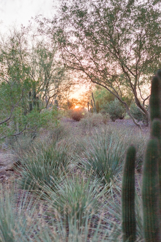 desert-chic-wedding-inspiration