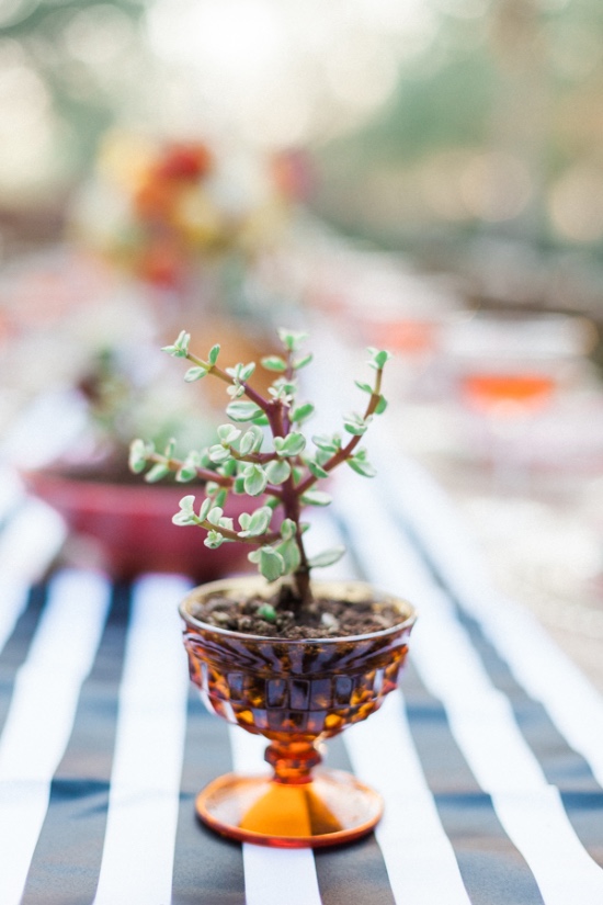 desert-chic-wedding-inspiration