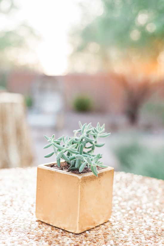 desert-chic-wedding-inspiration
