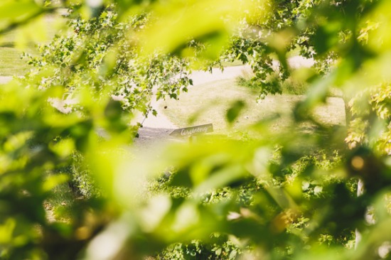 french-country-side-wedding