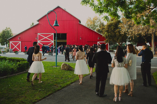 gold-garden-wedding-at-camarillo-ranch