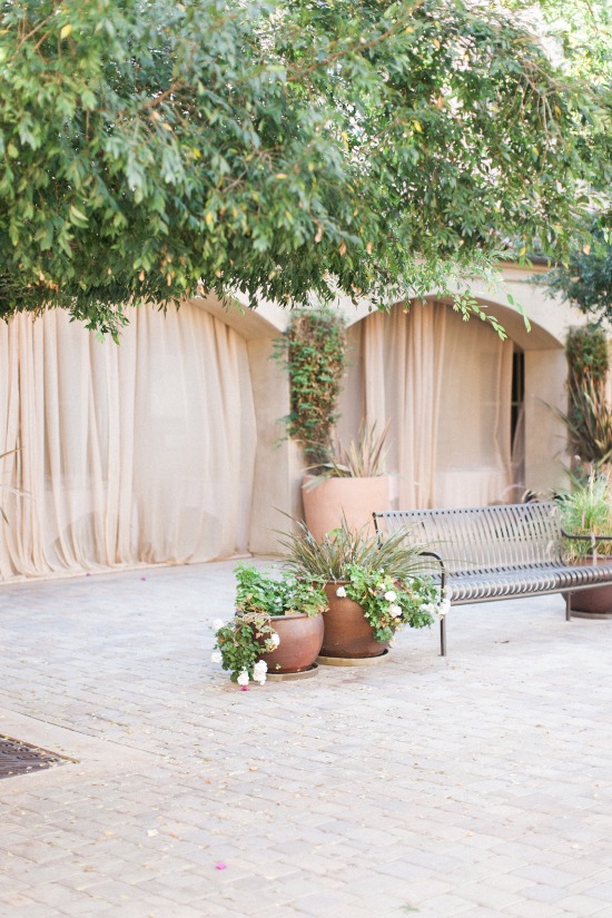 peach-and-gray-elegant-rustic-wedding