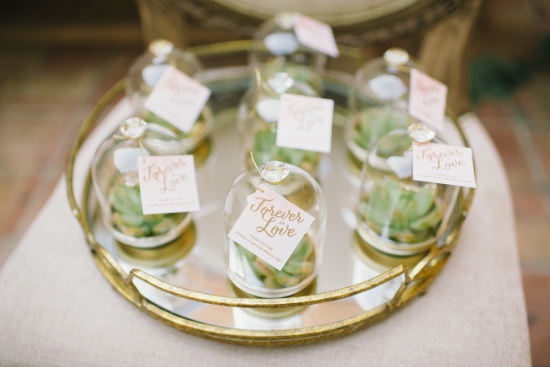 pink-and-gold-succulent-wedding