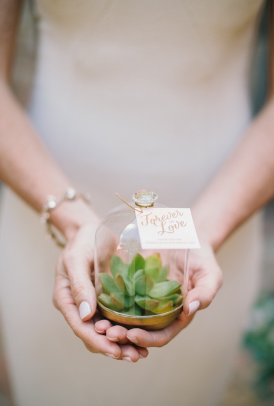 pink-and-gold-succulent-wedding