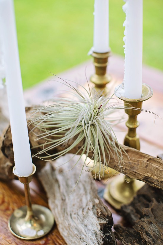 rustic-and-natural-wedding-ideas