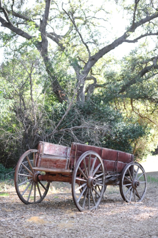 rustic-and-romantic-california-wedding
