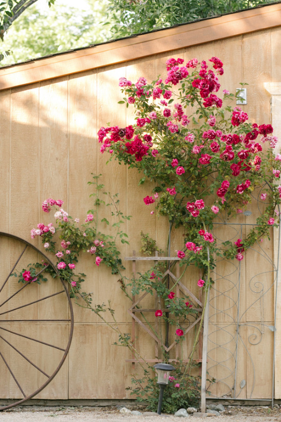 rustic-wedding-in-shades-of-pink