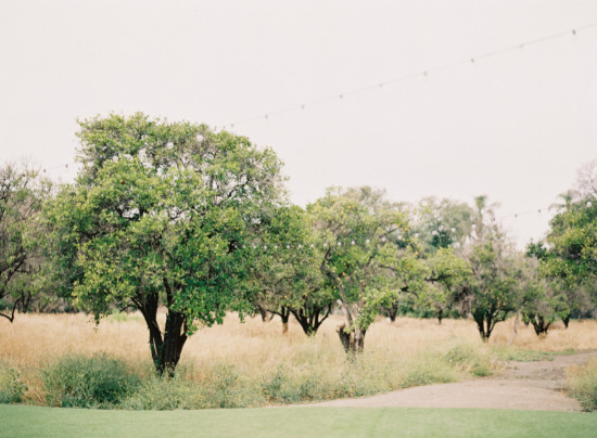 blush-red-gray-rustic-tea-party