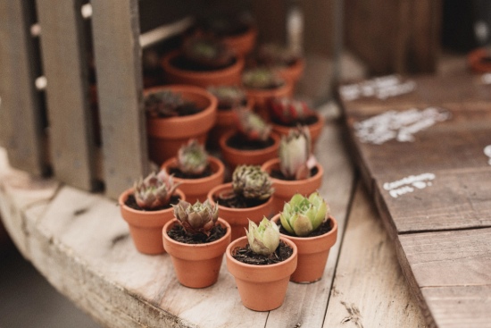 country-vintage-wedding