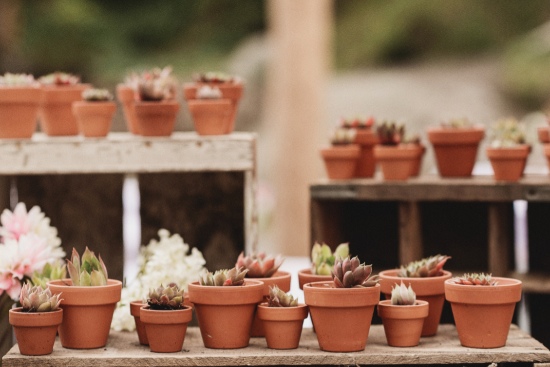country-vintage-wedding