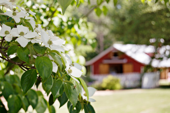forest-wedding-full-of-charm
