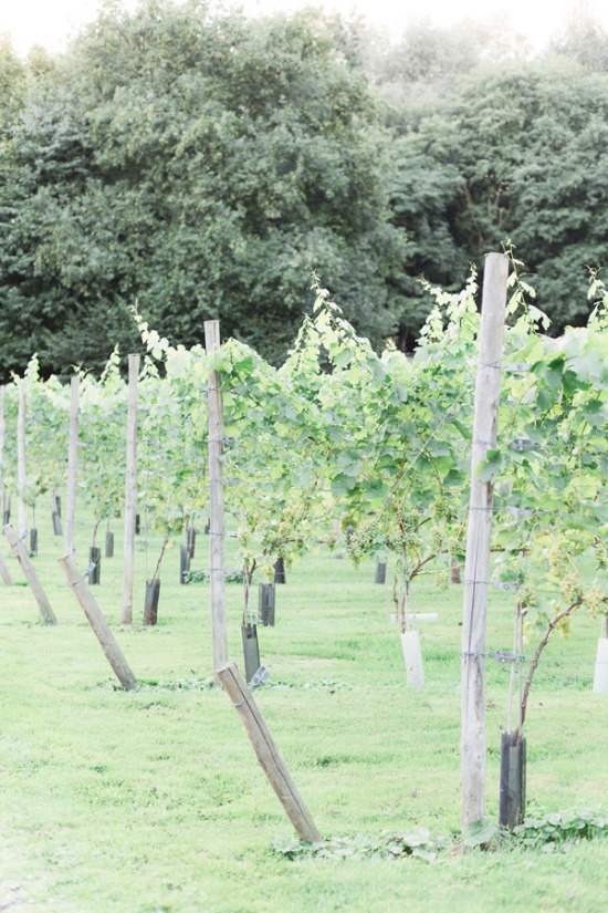fresh-yellow-and-green-rehearsal-dinner
