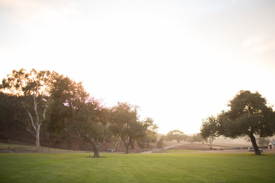 lavender-and-burlap-pismo-beach-wedding