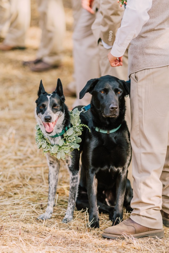 pink-and-blue-cowboy-wedding
