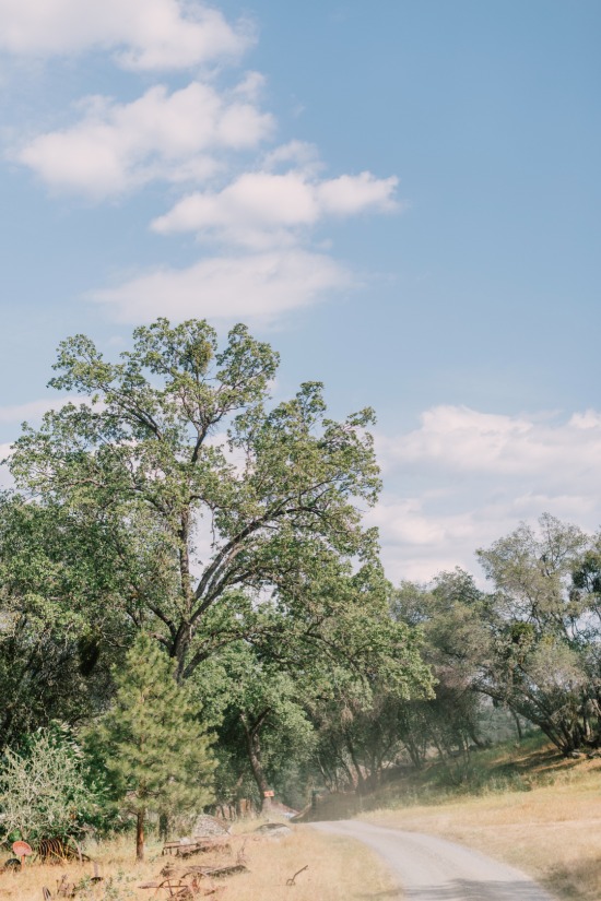 pink-and-blue-cowboy-wedding
