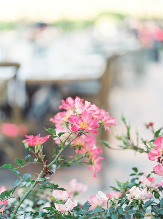 romantic-pink-travel-wedding