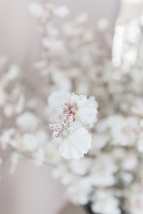 romantic-pink-travel-wedding