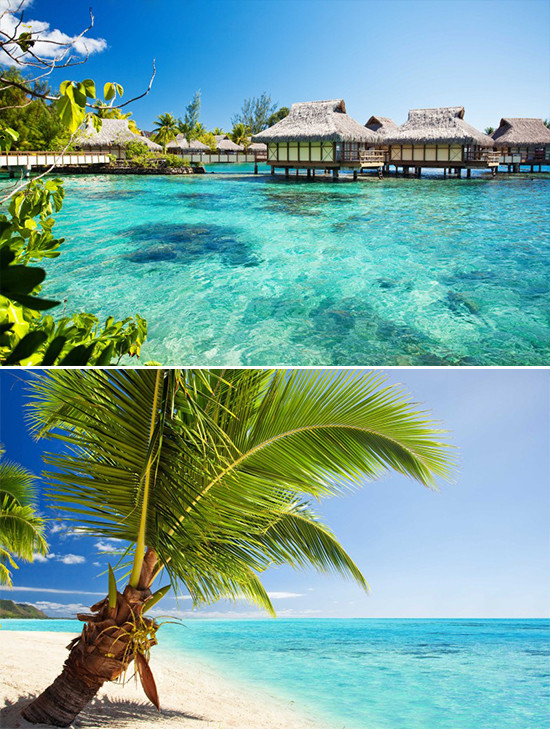 Tropical beach bungalows and palm trees under clear skies