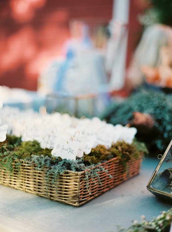 elegant-and-natural-wedding