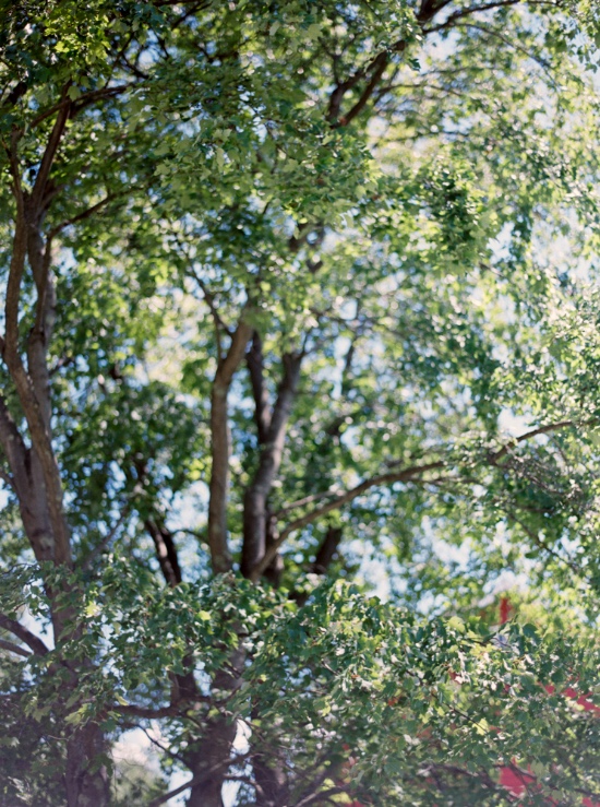 elegant-and-natural-wedding