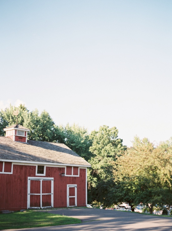 elegant-and-natural-wedding