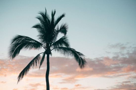 hawaii-pop-up-wedding