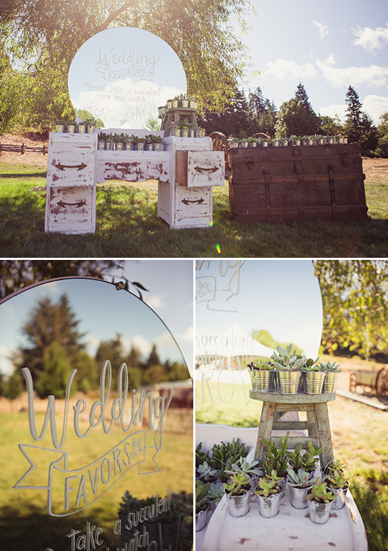 Rustic wedding favors with succulent plants and vintage decor
