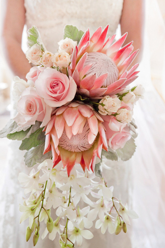 Elegant bridal bouquet with protea and cascading white orchids