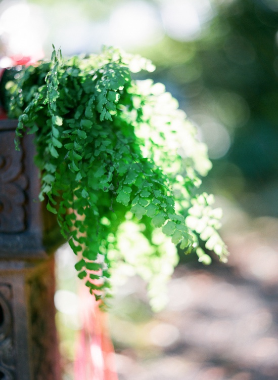 alice-in-wonderland-garden-elopement