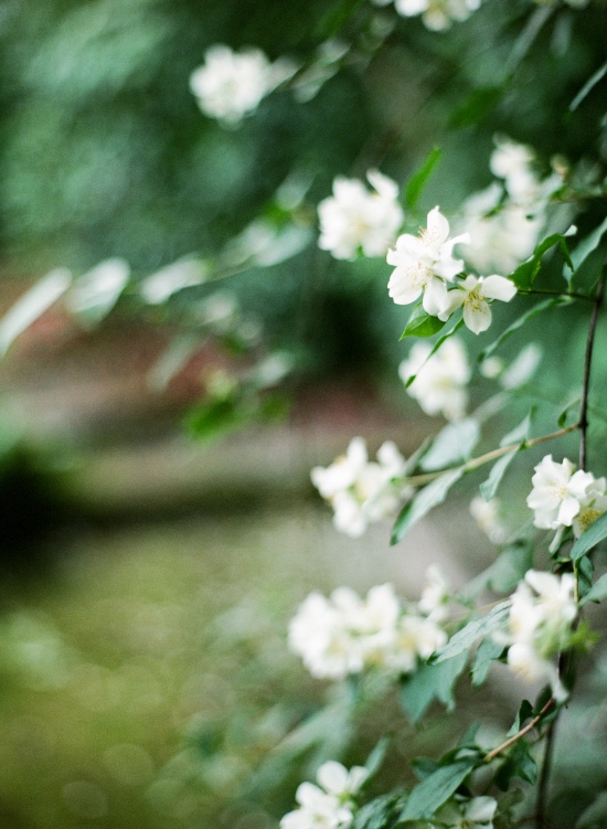 alice-in-wonderland-garden-elopement