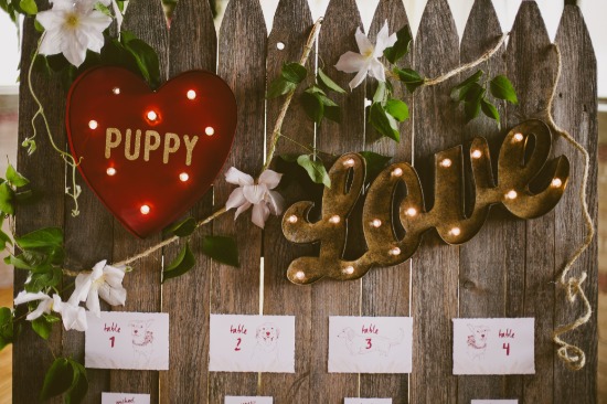 dog-friendly-puppy-love-wedding