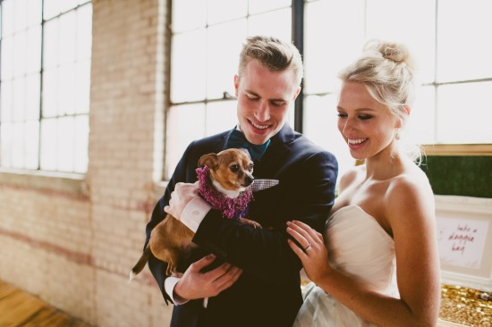 dog-friendly-puppy-love-wedding