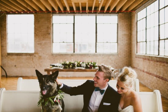 dog-friendly-puppy-love-wedding