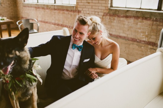 dog-friendly-puppy-love-wedding