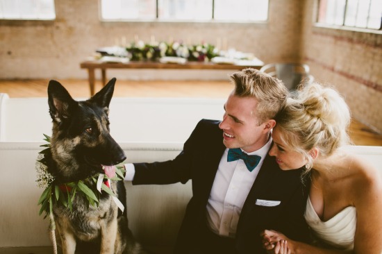 dog-friendly-puppy-love-wedding