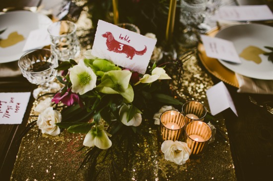 dog-friendly-puppy-love-wedding