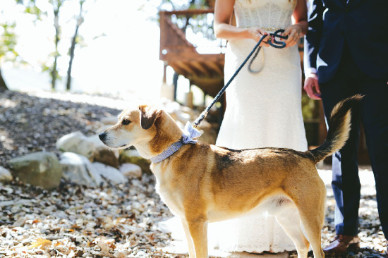 lodge-wedding-in-fall