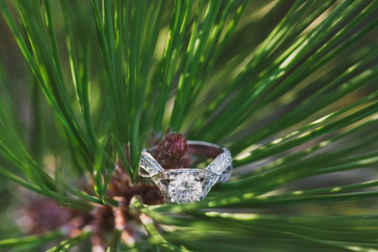 rustic-purple-and-white-outdoor-wedding