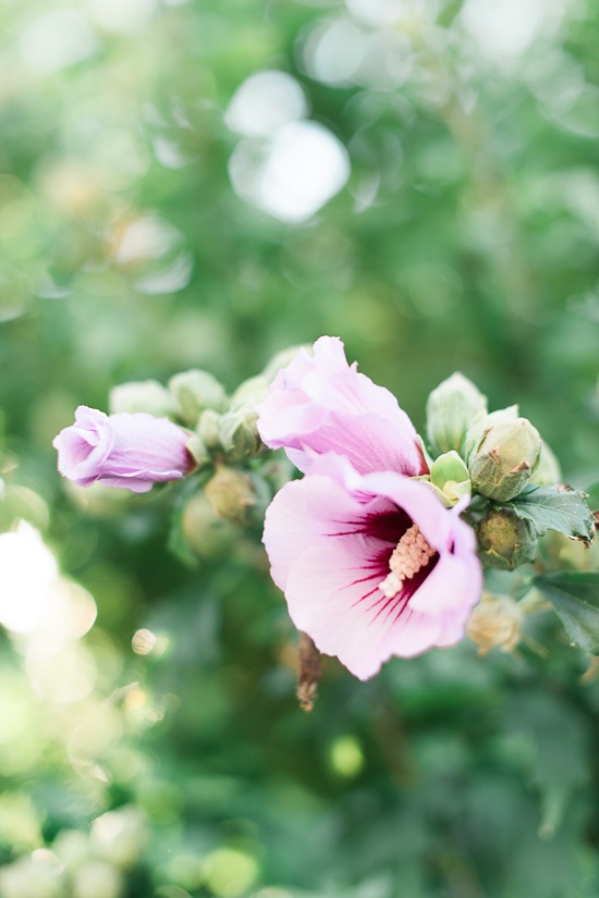 summer-romance-garden-wedding