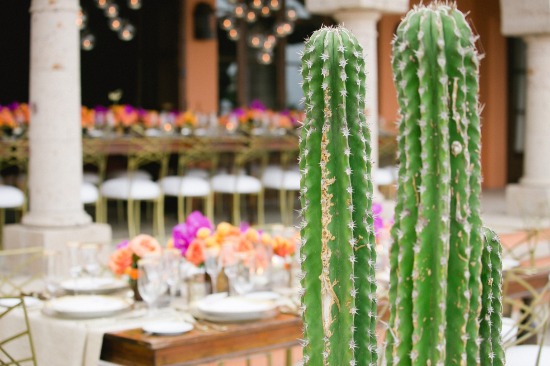 tropical-paradise-wedding-in-mexico