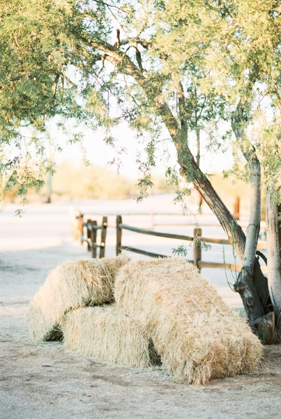 how-to-have-a-glam-desert-wedding