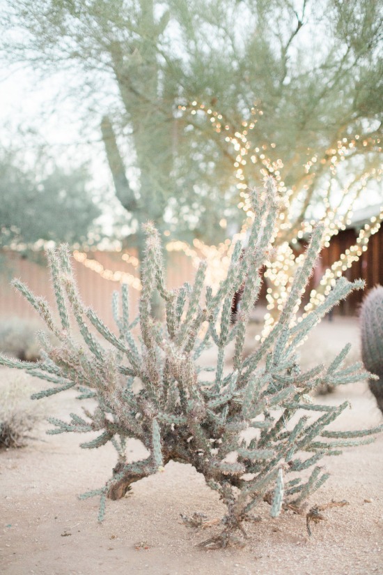 how-to-have-a-glam-desert-wedding