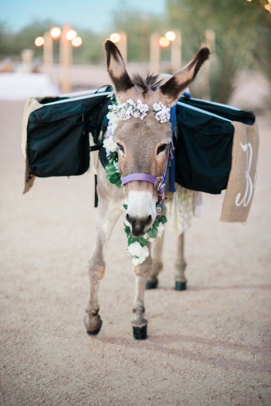 how-to-have-a-glam-desert-wedding