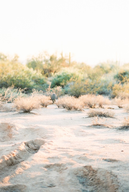 how-to-have-a-glam-desert-wedding